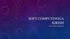 Soft Computingga kirish