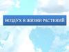 Воздух в жизни растений