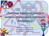 Значение дорожных знаков в системе организации дорожного движения