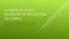 Алкоголь и его влияние на организм человека