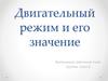 Двигательный режим и его значение