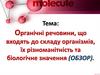 Органічні речовини, що входять до складу організмів, їх різноманітність та біологічне значення (ОБЗОР)