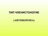 Тип членистоногие (arthropoda)