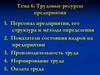 Трудовые ресурсы предприятия. Тема 6