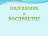 Ощущение и восприятие