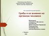 Грибы и их влияние на организм человека