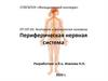 Периферическая нервная система