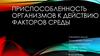 Приспособленность организмов к действию факторов среды