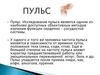 Самоконтроль в процессе занятий физкультурой и спортом. Пульс (занятие 9)