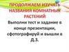 Правила ухода за комнатными растениями