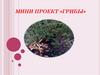 Грибы. Мини проект