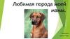 Любимая порода моей мамы