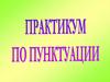 Практикум по пунктуации