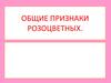 Общие признаки розоцветных