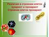 Различия в строении клеток эукариот и прокариот. Строение клеток прокариот