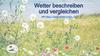 Wetter beschreiben und vergleichen