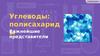Углеводы. Полисахариды. Важнейшие представители