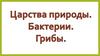 Царства природы. Бактерии. Грибы