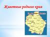 Животные родного края