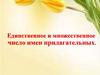 Единственное и множественное число имен прилагательных