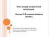 Курс лекций по сенсорной интеграции. Лекция 5. Проприоцептивная система