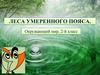 Леса умеренного пояса. 2-й класс