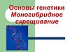 Основы генетики. Моногибридное скрещивание