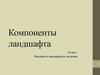 Компоненты ландшафта