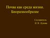 Почва как среда жизни. Биоразнообразие