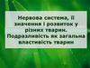 Нервова система, її значення і розвиток у різних тварин. Подразливість як загальна властивість тварин
