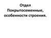Отдел Покрытосеменные, особенности строения