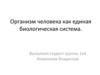 Организм человека как единая биологическая система
