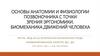 Основы анатомии и физиологии позвоночника с точки зрения эргономики. Л2