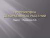 Группировка декоративных растений