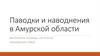Паводки и наводнения в Амурской области