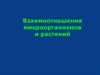 Взаимоотношения микроорганизмов и растений