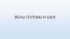 Вены головы и шеи