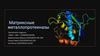 Матриксные металлопротеиназы