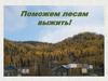 Поможем лесам выжить