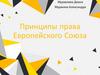 Принципы права Европейского Союза
