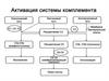 Активация системы комплемента. Биология
