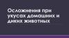 Осложнения при укусах домашних и диких животных