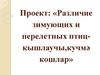 Различие зимующих и перелетных птиц
