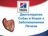 Диетотерапия Собак и Кошек с Заболеваниями Печени