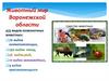 Животный мир Воронежской области