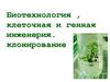Биотехнология, клеточная и генная инженерия. Клонирование