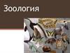 Зоология