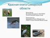 Красная книга Самарской области