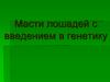 Масти лошадей с введением в генетику