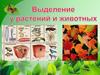 Выделение у растений и животных